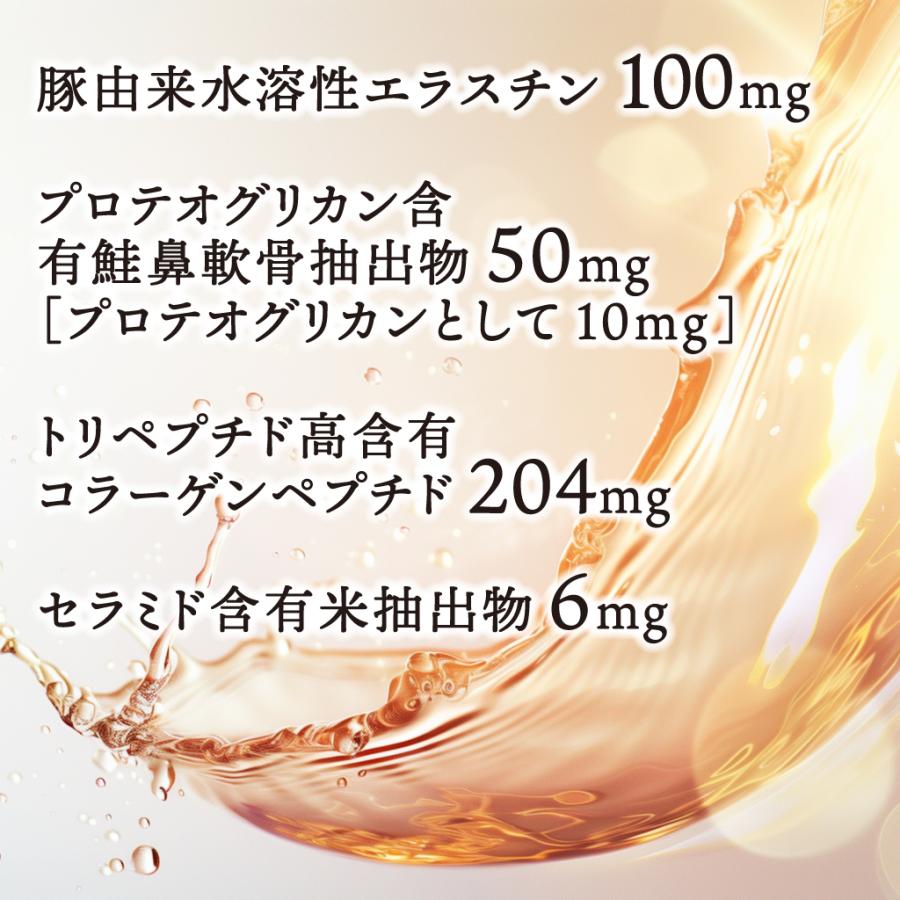 サンナホル　ビューティーサプリ　プロテオグリカン＆エラスチン サンナホル ビューティーサプリ プロテオグリカン＆エラスチン 【公式