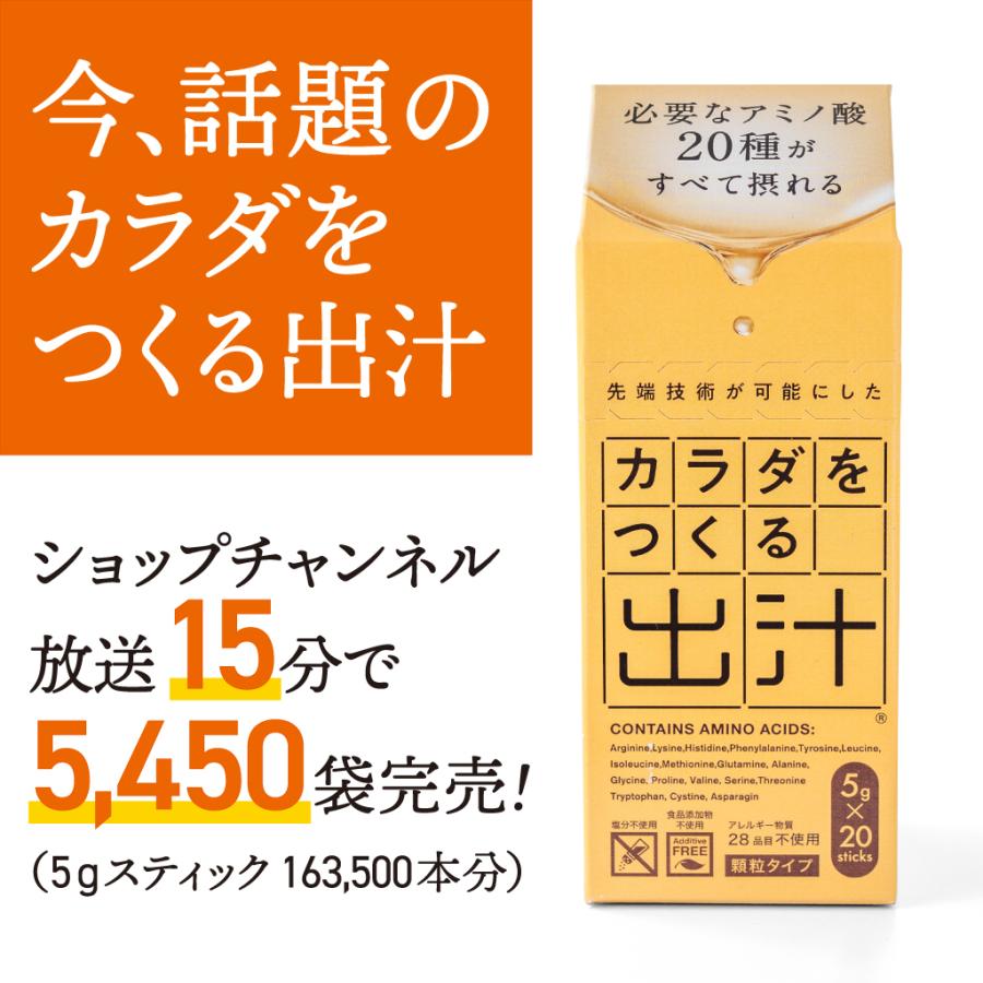 カラダをつくる出汁 5g入×20本【5箱セット100本】 添加物不使用 無添加