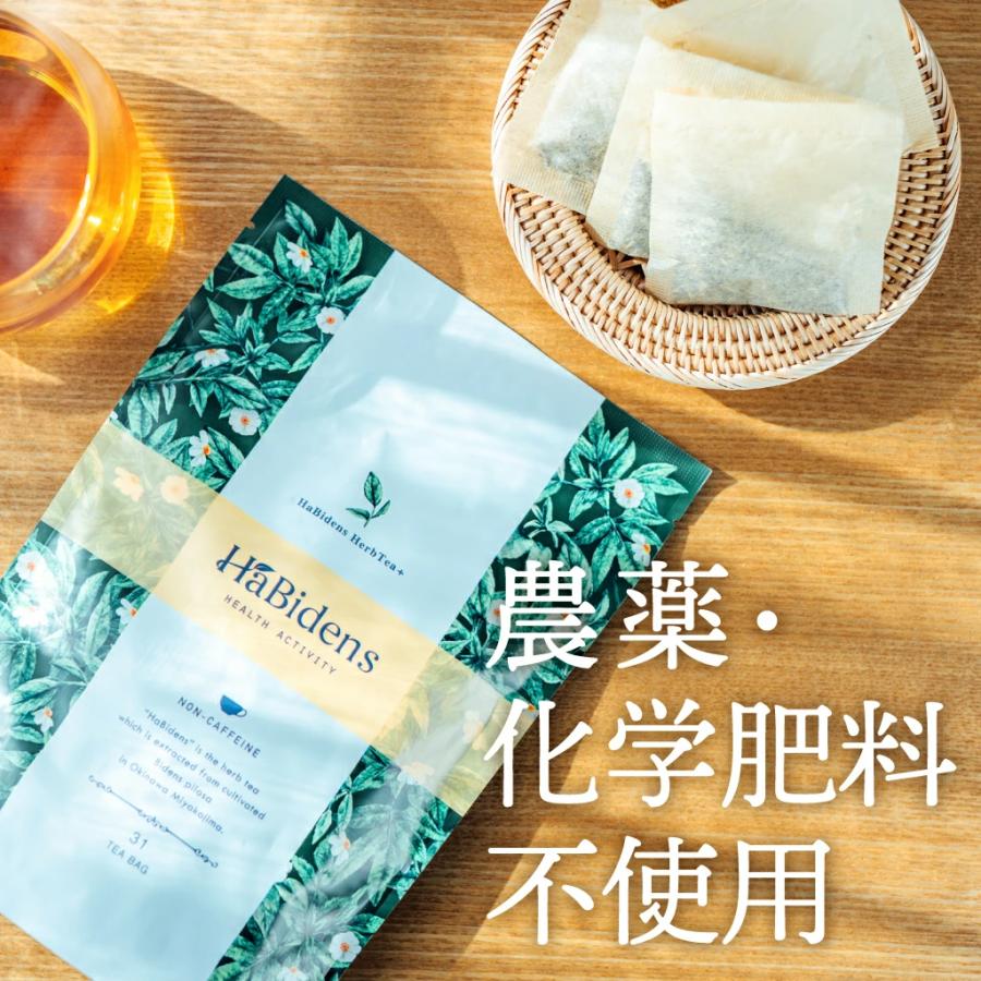 HaBidens HerbTea+ ハービデンス ハーブティープラス 31包【URUBANA