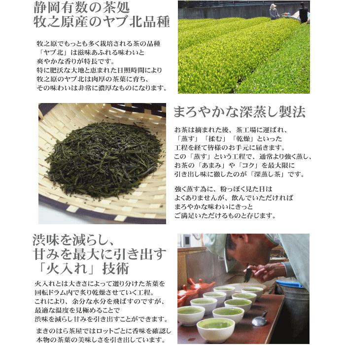 24120円 【オープニングセール】 牧之原産 おいしい新茶11本セット