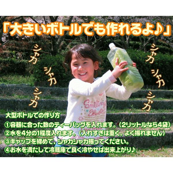 4/1〜価格改定】 お茶 パック 500ml 水出し緑茶 300本作れる 細長