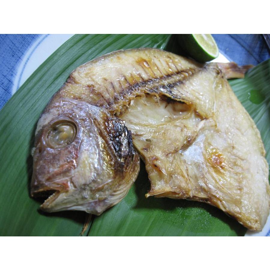 たい 愛媛県産 鯛 ちだい 干物 ひもの マキノ海産 通販 Yahoo ショッピング