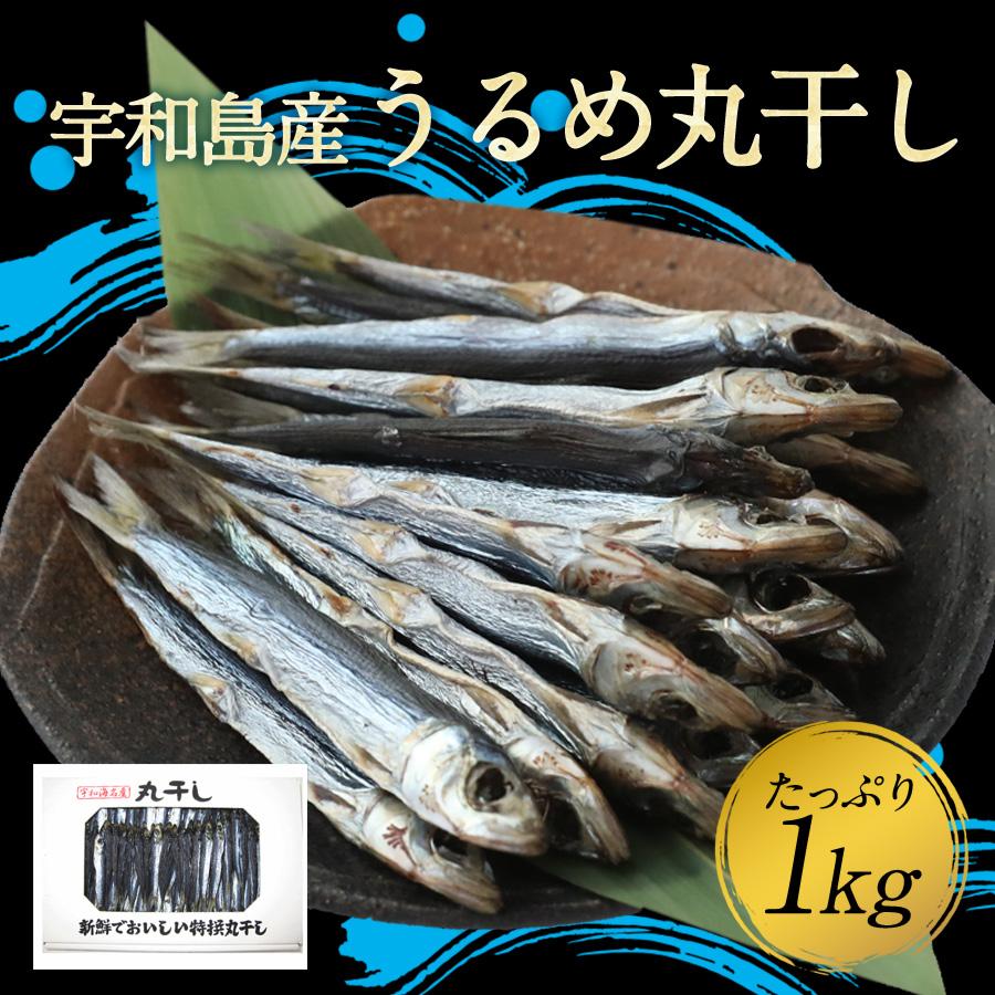 うるめ丸干し 宇和島 １ｋｇ うるめいわし カルシウム マキノ海産 通販 Yahoo ショッピング