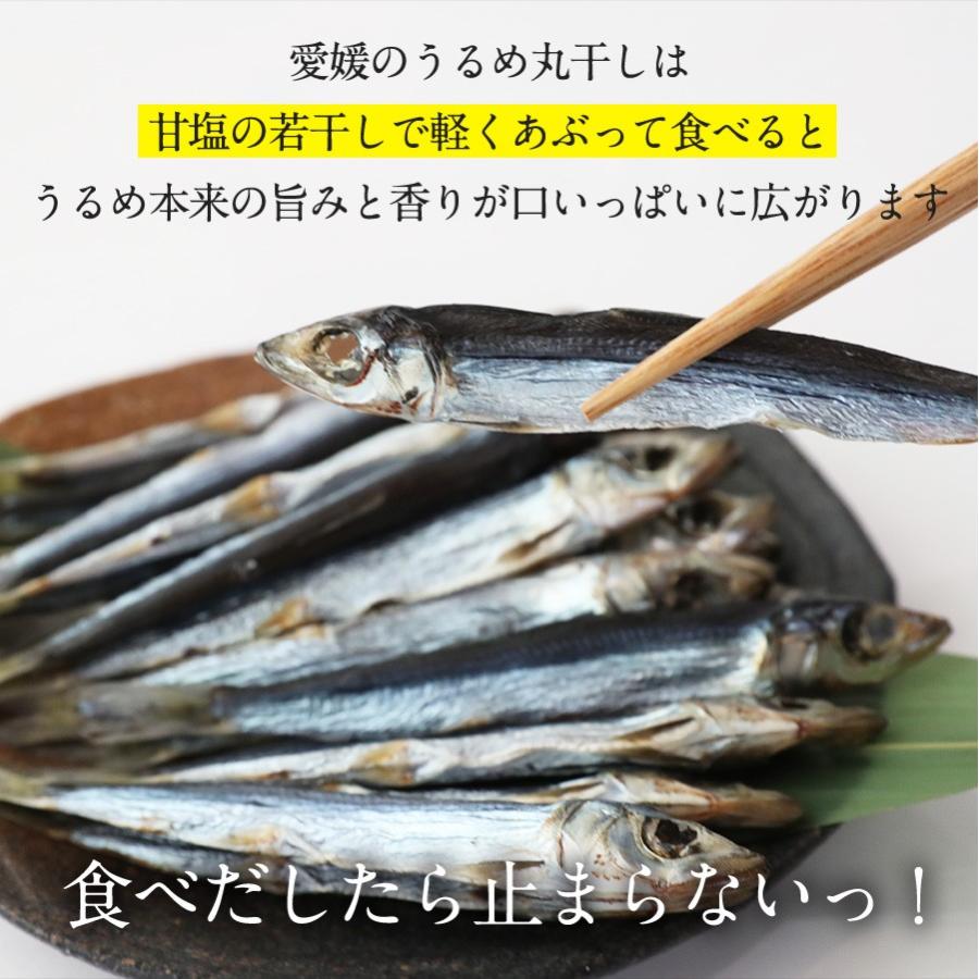 うるめ丸干し　宇和島　１ｋｇ　うるめいわし　カルシウム　｜makinokaisan｜05