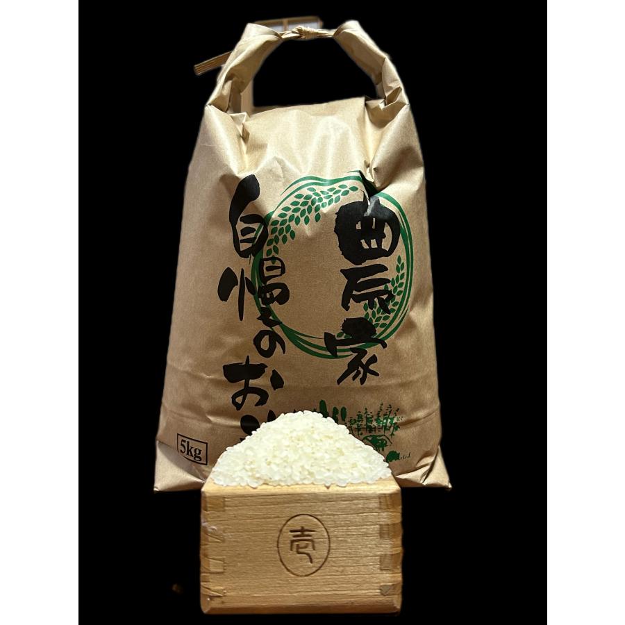 鹿児島県産 ひのひかり新米 5kg 送料無料 ノウカーズ ヒノヒカリ