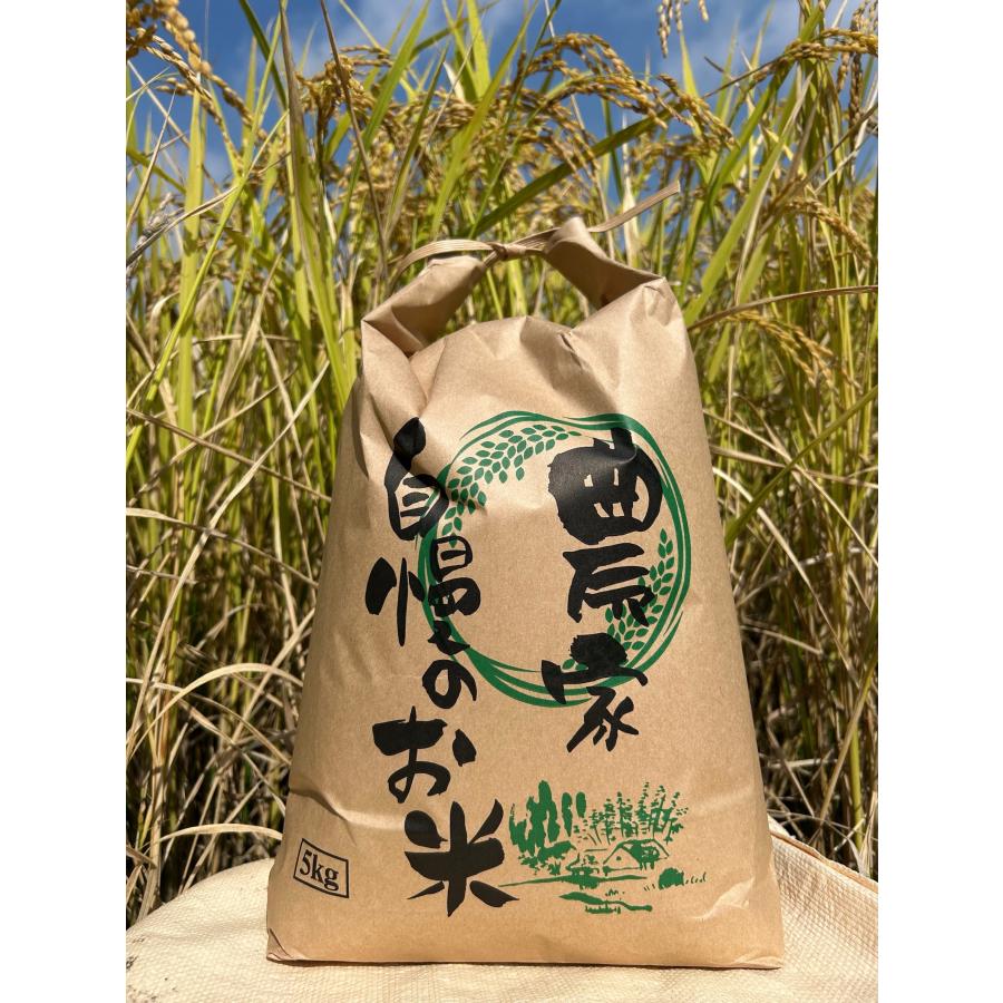 鹿児島県産 ひのひかり新米 5kg 送料無料 ノウカーズ ヒノヒカリ 