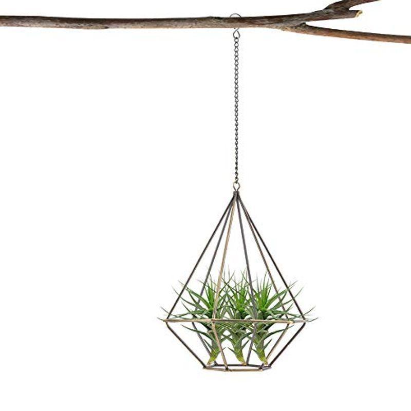 全商品オープニング価格 特別価格 植木鉢ホルダー Topincn アイアン ハンギング プランターハンガー 観葉植物 植物ホルダー ハンギング エアプランツ プラントハンガー キッチン家電 Www Reinnec Cl