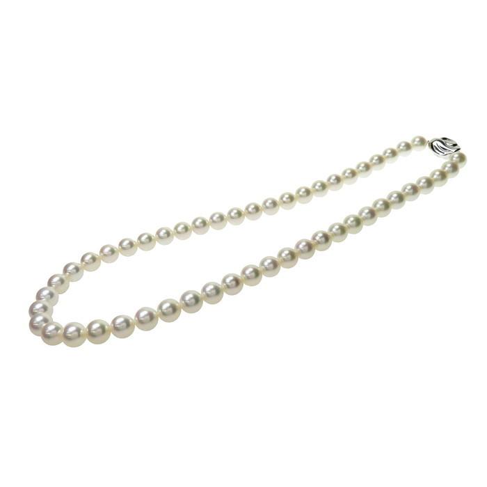 TASAKI/タサキ 一連 アコヤ真珠 約8.0〜8.4mm程度 ネックレス シルバー