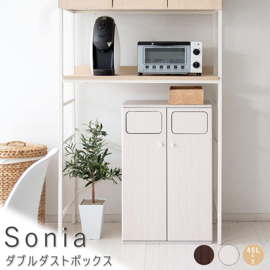 ｓｏｎｉａ ソニア ダブルダストボックス ４５ｌ ２ ゴミ箱 分別 スリム キッチン 二連 隙間 プッシュ式 送料無料 M 京都ここん 通販 Yahoo ショッピング