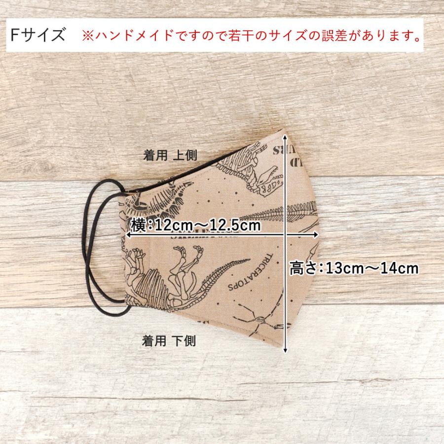 マスク 洗える 布マスク 大人マスク 大きめ立体 立体 恐竜 動物 ブラウン 茶色 日本製 洗えるマスク 敏感肌 送料無料 メール便２ポイント U 京都ここん 通販 Yahoo ショッピング