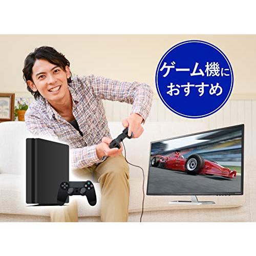 IODATA モニター 31.5インチ FHD 1080p ADSパネル ハーフグレア (HDMI×2/アナログRGB×1/DisplayPor｜makotoya1259｜06