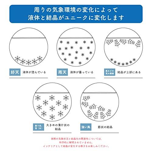 ストームグラス きのこ グリーン 333-404GR「ファン サイエンス(Fun Science)」Admiral Fitzroy's Stor｜makotoya1259｜06