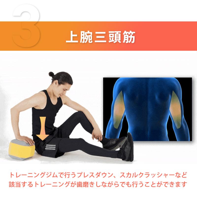 Makuake公式 トレーニングスタジオAXIS発 自宅で簡単に筋力・姿勢力