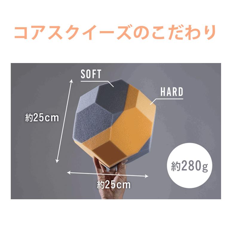 Makuake公式 トレーニングスタジオAXIS発 自宅で簡単に筋力・姿勢力