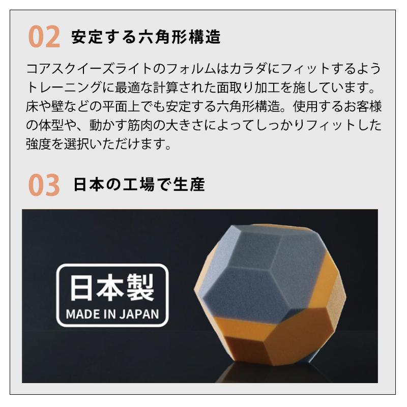 Makuake公式 トレーニングスタジオAXIS発 自宅で簡単に筋力・姿勢力
