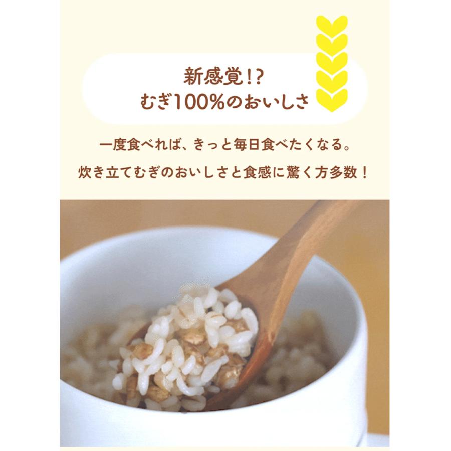 Makuake公式 伊藤園から炊飯器？ 米にかわる新たな食の選択肢。手軽に