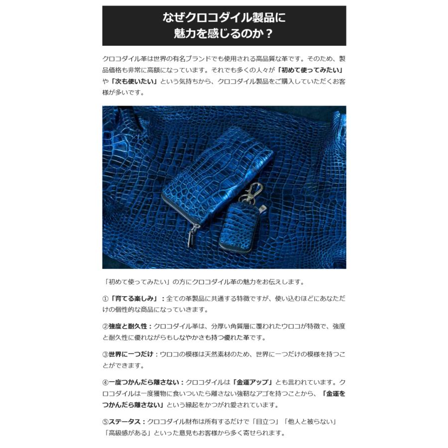 Makuake公式 新春辰年 本物をこの価格で。あなたの手にとってほしい