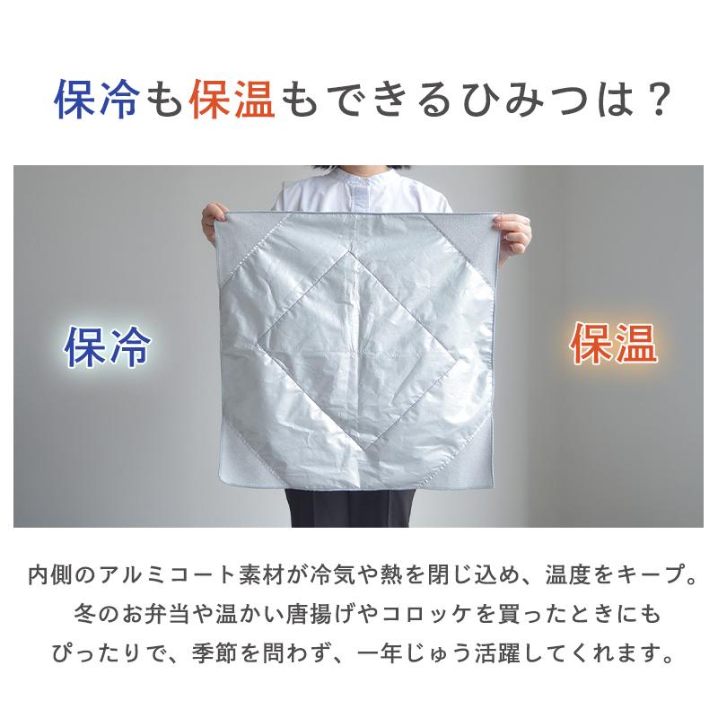 Makuake公式 お肉お弁当アイス、これ1枚で冷たさキープ。エコバッグと