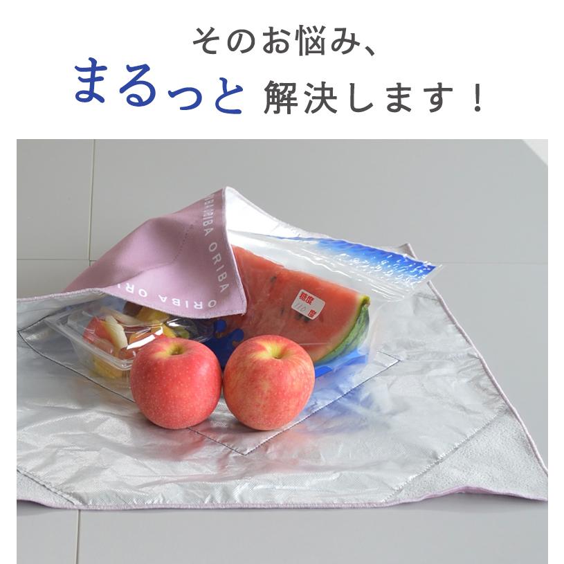 Makuake公式 お肉お弁当アイス、これ1枚で冷たさキープ。エコバッグと