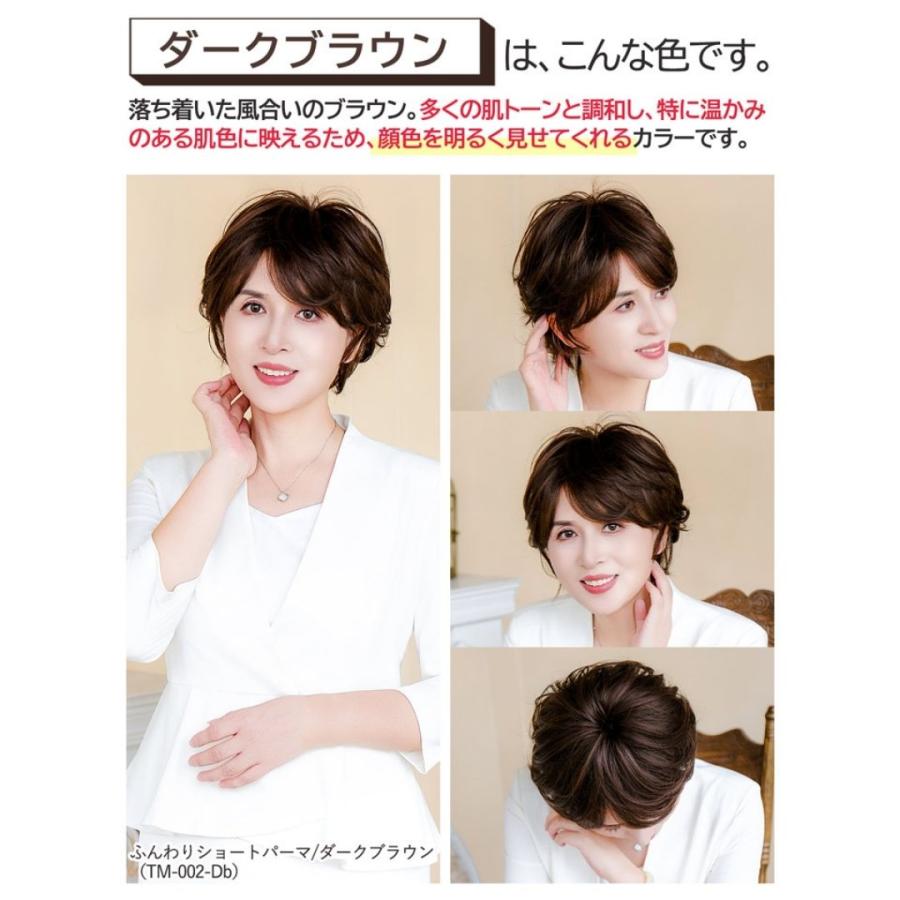 TefuRe（テフリ） かつら 女性 ショート パーマ カール 自然 薄毛 医療