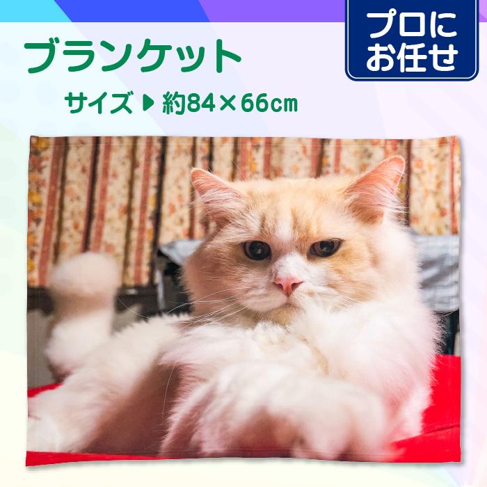 【プロにお任せ】オリジナルブランケット | 