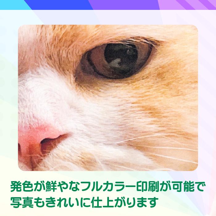 【プロにお任せ】オリジナルブランケット |  | 01