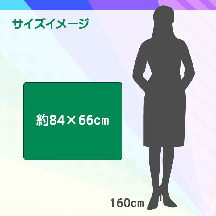 【プロにお任せ】オリジナルブランケット |  | 02