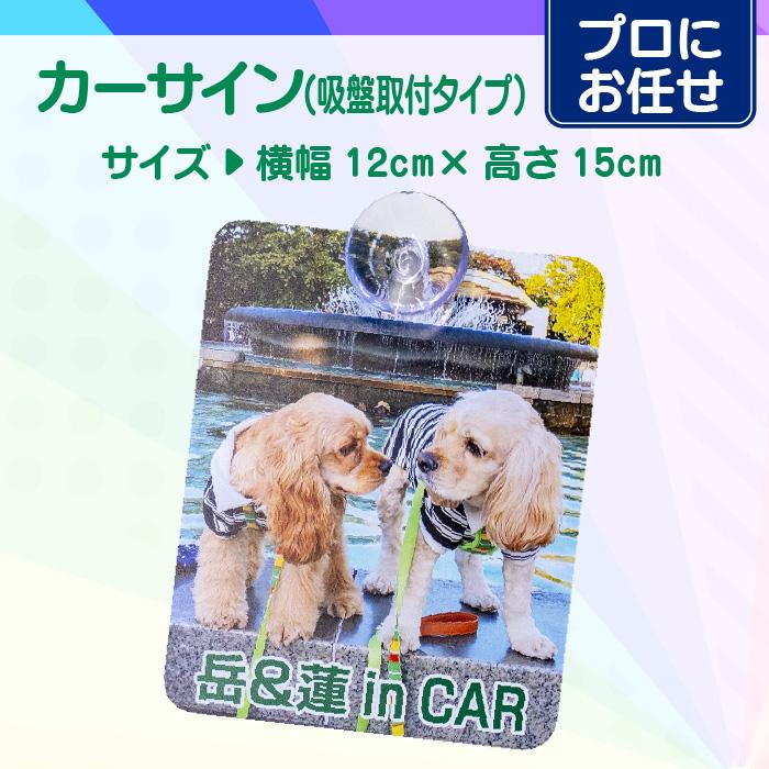 【プロにお任せ】オリジナルカーサイン | 