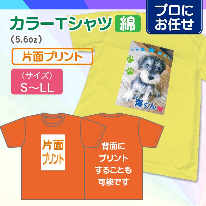 【プロにお任せ】オリジナルカラーTシャツ（綿）　片面 | 