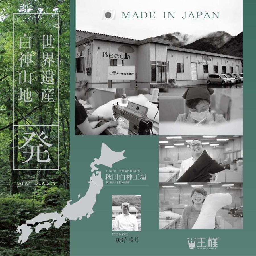 枕 肩こり 横向き 首こり 大きい 日本製 王様の夢枕 BIG まくら ピロー 母の日 プレゼント ギフト | 王様 | 10