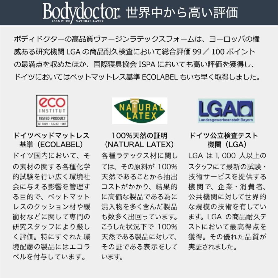 Bodydoctor ドクターロングピロー 110 楽天市場】BodyDoctor longpillow ボディドクターロングピロー サイズ
