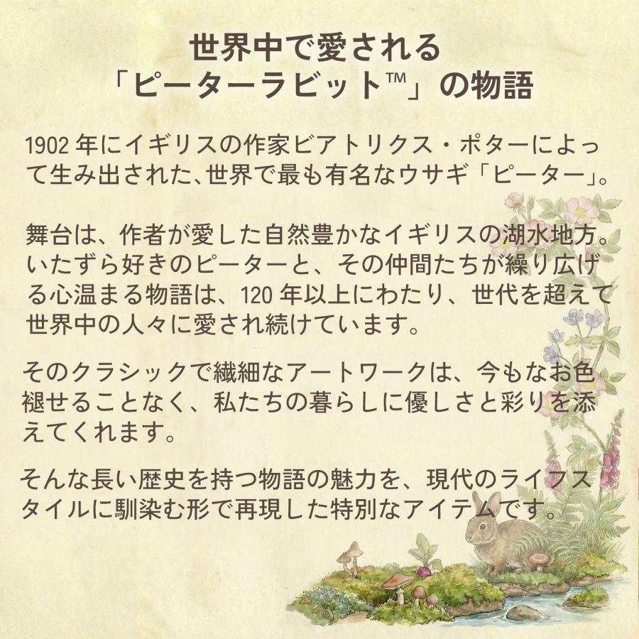 ピーターラビット グッズ Peter Rabbit ブック型 クッション フェイブ