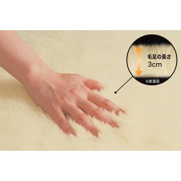 毛布 シングル The PREMIUM sofwool ザ/プレミアムソフゥール あったか