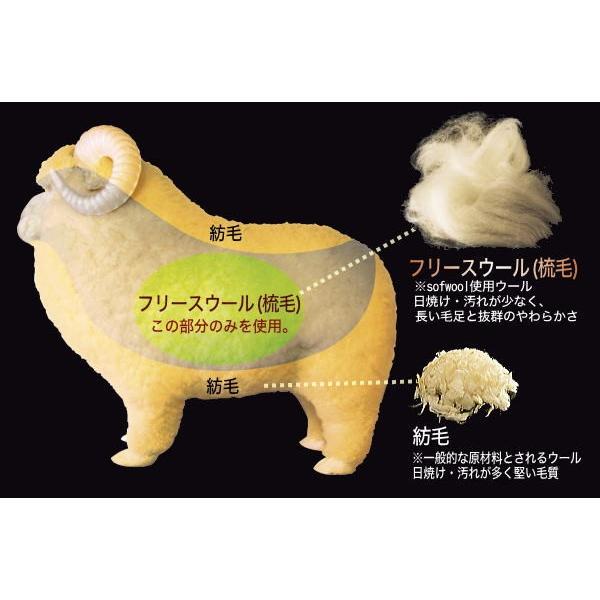 毛布 シングル The PREMIUM sofwool ザ/プレミアムソフゥール あったか