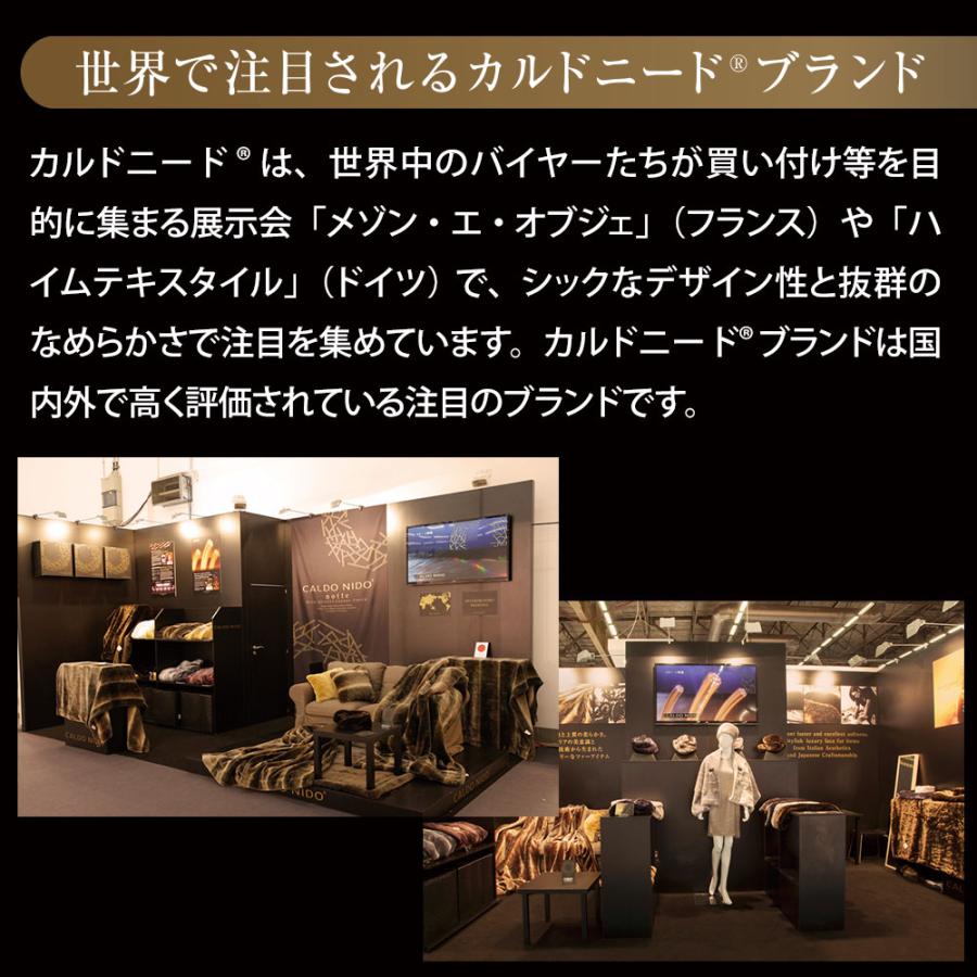 敷き毛布 ダブル 敷きパッド 薄手 冬 暖かい 吸湿発熱 カルドニード・ノッテ 3 敷毛布 ダブルサイズ 140×205 母の日_16