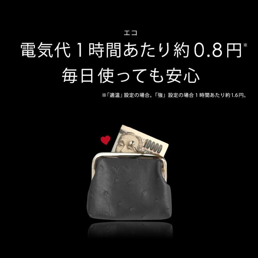 電気毛布 掛毛布 掛け毛布 洗濯可 洗える 電気掛け毛布 HEAT CRACKER ADVANCE ヒートクラッカー 130×188cm 敬老の日 |  | 17