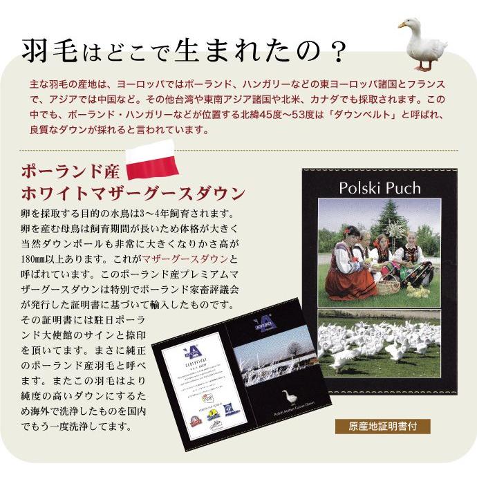 掛け布団 羽毛布団 シングル おすすめ 暖かい 羽毛掛け布団 掛布団 かけ布団 プレミアムゴールドラベル ポーランド産 マザーグースダウン  ザ・羽毛布団 | まくら | 04