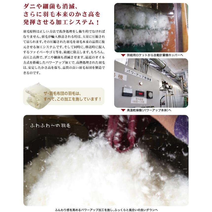 掛け布団 羽毛布団 シングル 暖かい 羽毛掛け布団 掛布団 かけ布団 二枚合わせ 肌掛け 合掛け ロイヤルゴールドラベル ホワイトグースダウン ザ・羽毛布団 |  | 04