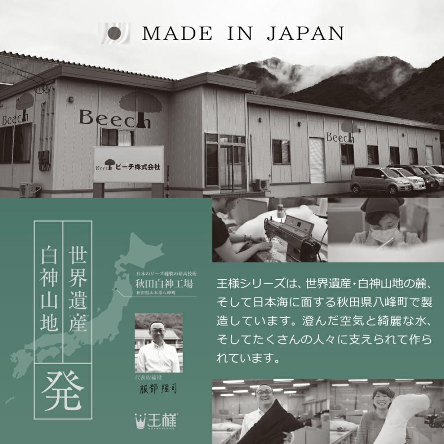 抱き枕 抱きまくら 王様の抱き枕 妊婦 男性 洗える ビーズ 日本製 カバー 腰痛 女性 妊娠中 S字 横向き 母の日 | 王様 | 50