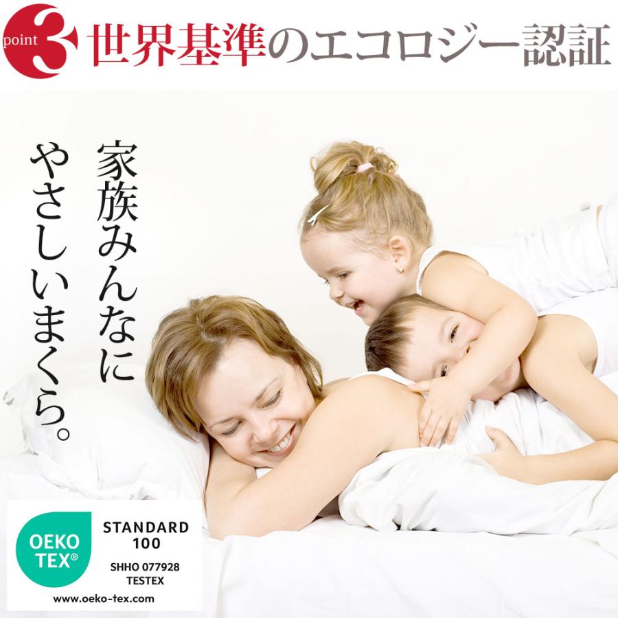 枕 まくら ピロー Danfill ダンフィル Fibelle フィベール クッション