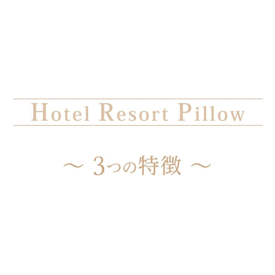 枕 まくら ピロー 洗える枕 ホテル仕様 43×63cm 2層式 快眠枕 ホテルリゾートピロー :999-001331-10:枕と眠りのおやすみショップ! - 通販 - Yahoo!ショッピング 枕 まくら ピロー 洗える枕 ホテル仕様 43×63cm 2層式 快眠枕 ホテルリゾートピロー :999-001331-10:枕と眠りのおやすみショップ! - 通販 - Yahoo!ショッピング