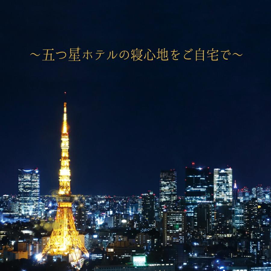 枕 ホテル仕様 枕 肩こり横向き 安眠枕 快眠枕 東京ラグジュアリーホテルピロー 五つ星ホテルの寝心地 枕＆枕カバー10点セット 父の日 | まくら | 01