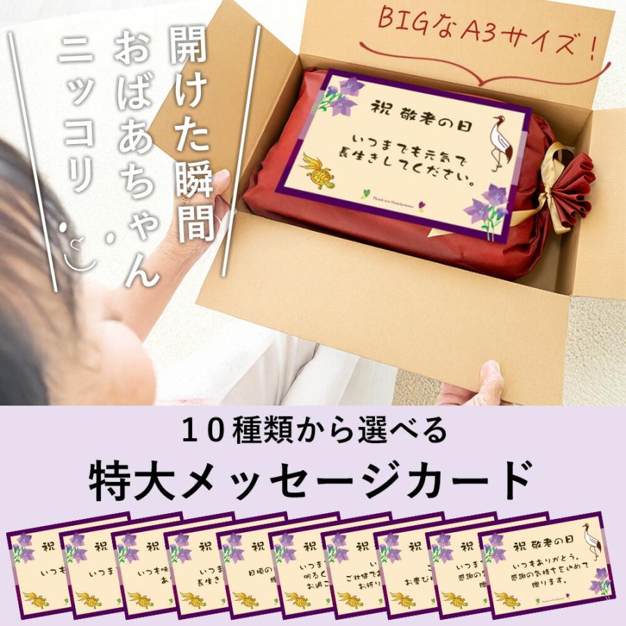 敬老の日 プレゼント 枕 まくら ピロー メッセージカード 付き おばあちゃん 敬老の日まくら 健康グッズ 敬老の日 | まくら | 13
