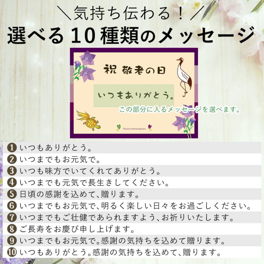 敬老の日 プレゼント 枕 まくら ピロー メッセージカード 付き おばあちゃん 敬老の日まくら 健康グッズ 敬老の日 | まくら | 18
