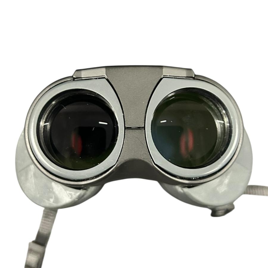 □Nikon EAGLEVIEW 8-24x25 双眼鏡 ケース付 動作確認済 ニコン