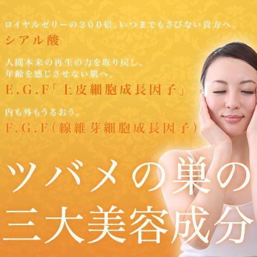 ツバメの巣 燕の巣 燕の巣スープ お試し マレーシア産 つばめの巣 燕窩