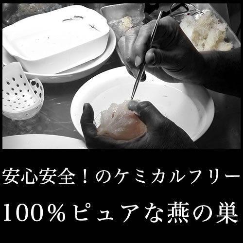 ツバメの巣 燕の巣 燕の巣スープ マレーシア産 つばめの巣 燕窩 パウダー状 100g jelly sp サプリ ドリンク 美容ドリンク｜malayabirdnest｜03