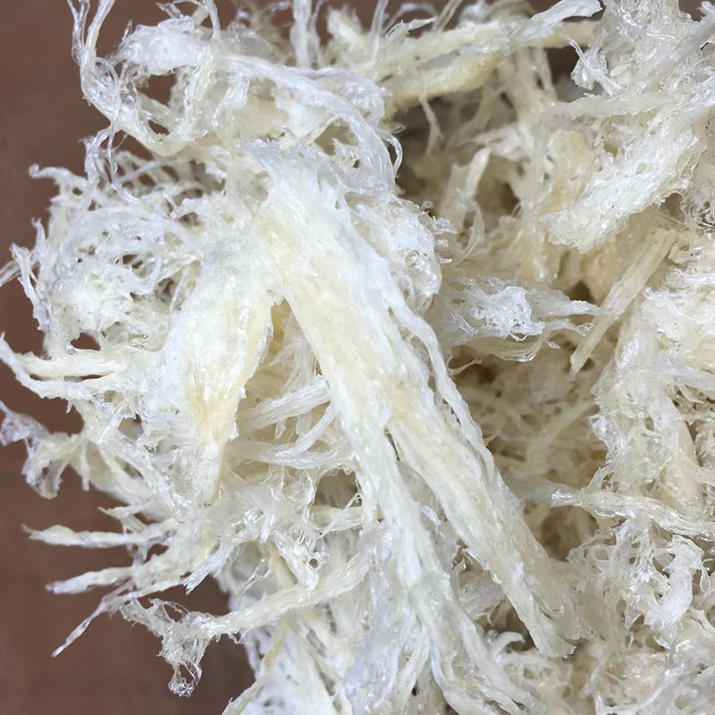 ツバメの巣 燕条 パウダー 燕角 燕の巣 融け 燕のマレーシア産