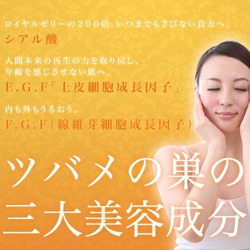 ツバメの巣 燕の巣 燕の巣スープ マレーシア産 燕盞 官燕 美容 美肌