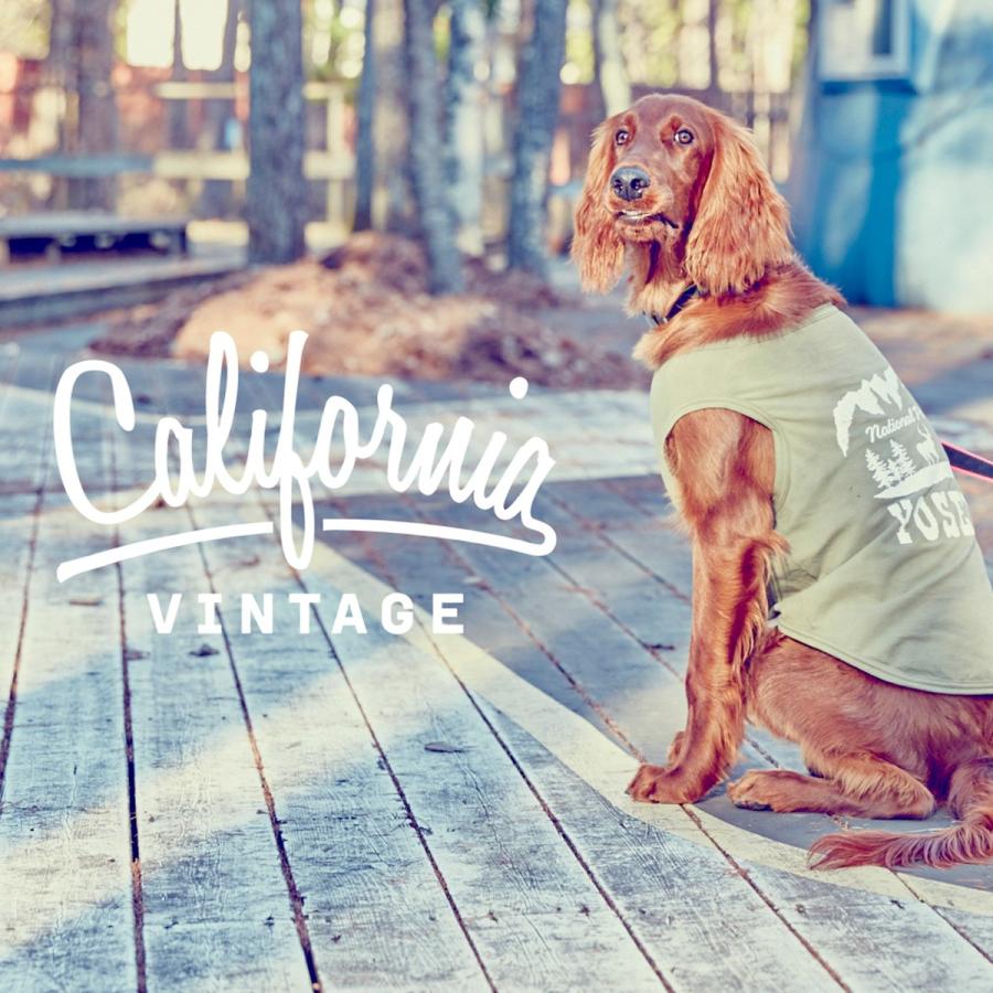 犬服 タンクトップ Xxxs Yosemite カリフォルニアビンテージ おしゃれ犬服ブランド Cv Malibu Dog Market 通販 Yahoo ショッピング